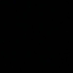 Meet your Posher, Tommy